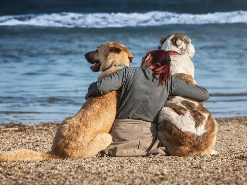 李晨范冰冰分手：女人过度强势是婚恋大忌