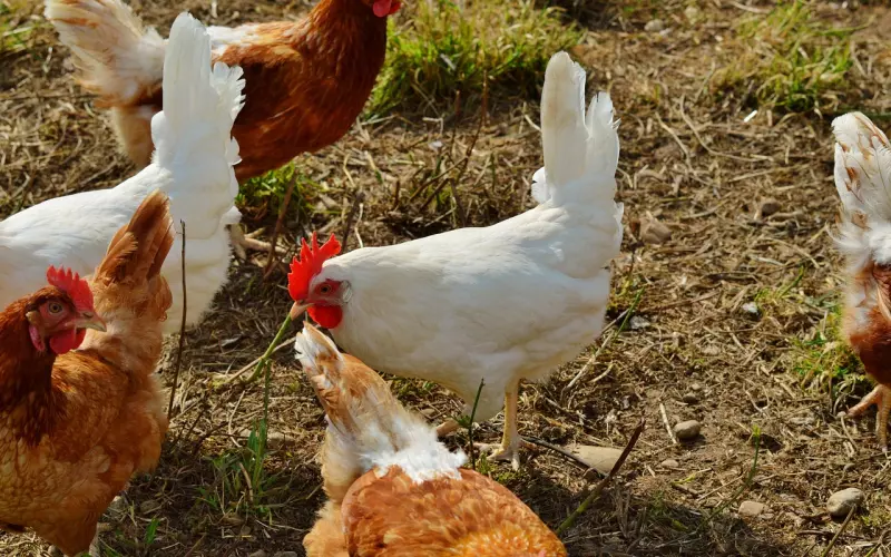 婚后生活一地鸡毛，这个事项有没有解决至关重要！