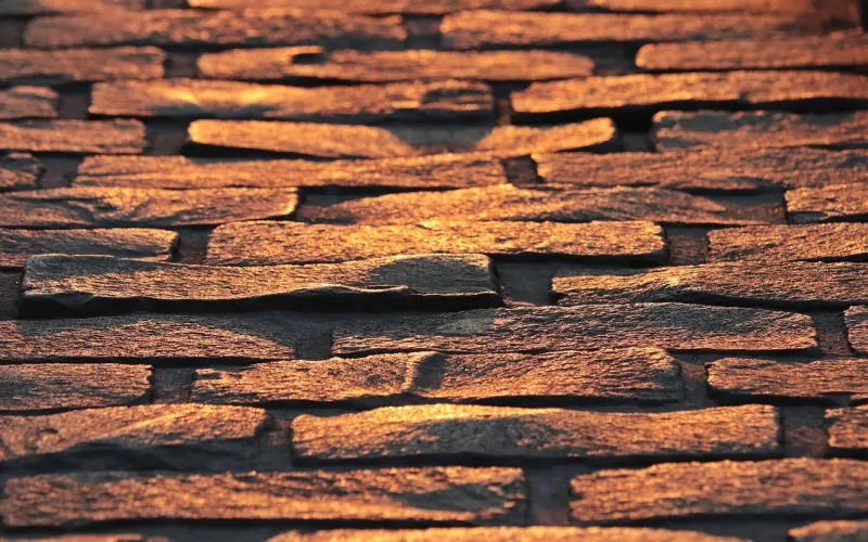 人生不易， 守好心，走好路