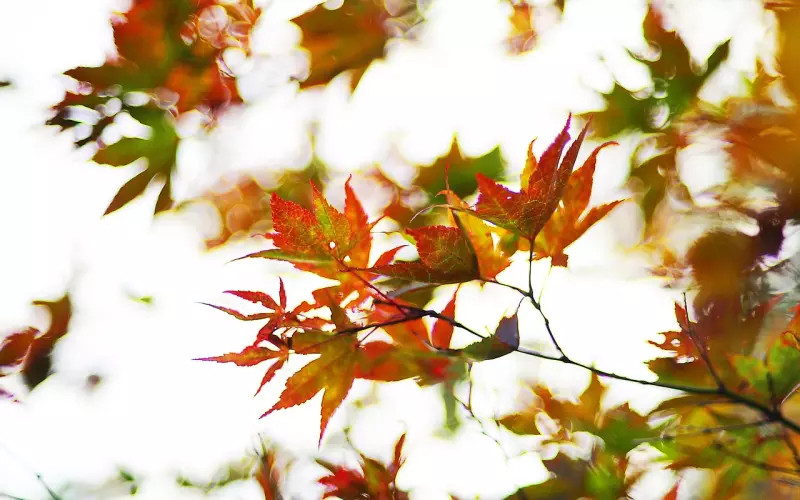 人生短暂，且行且珍惜！