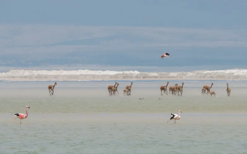 【百合网每周盘点】马哲老师，你还好吗？