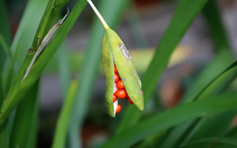 【百合趣味测试：你和哪种异性最登对？】