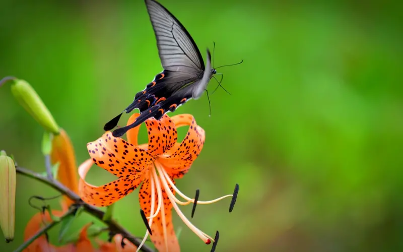 【百合趣味测试】你爱的人是否会变成你以后的老婆或老公？