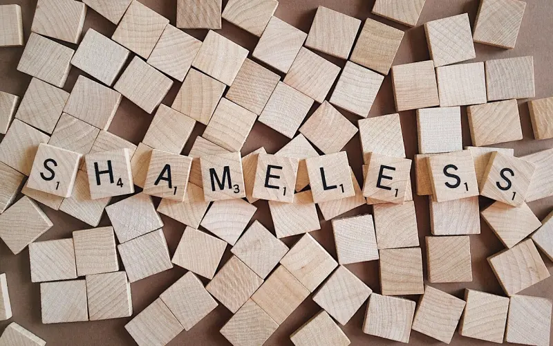 【百合幸福纪念册】我的“无耻”先生