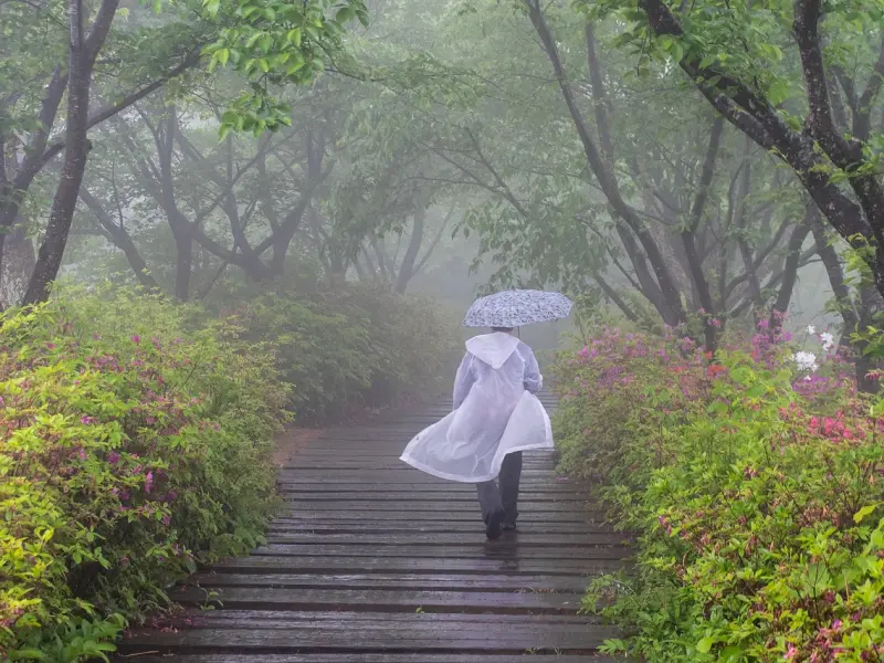 【百合占星日】2014.01/20~01/26艾菲爾星座运势