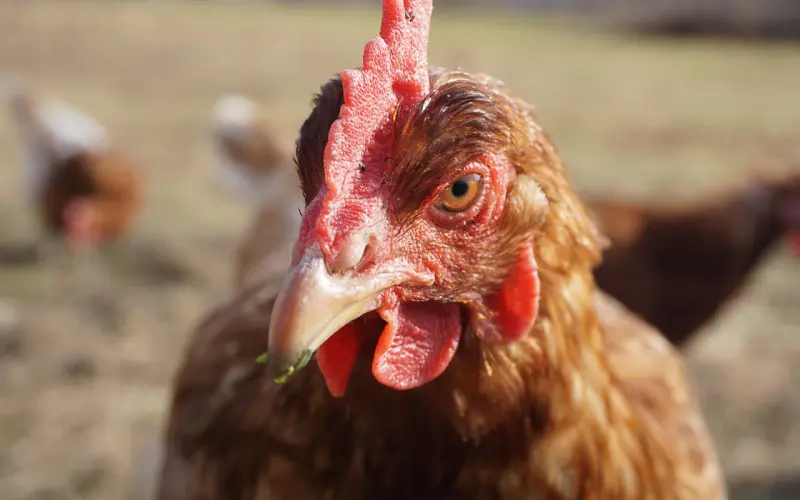 【百合爱情课堂】5招教你“放养”男人