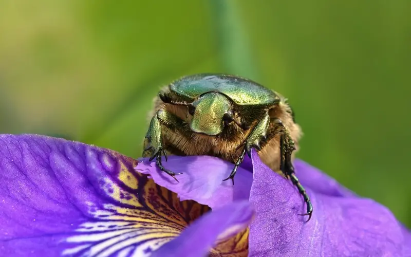 【百合爱情课堂】8个独家秘诀让他乖乖粘着你