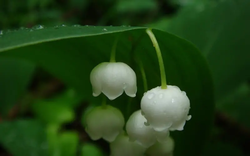 【百合爱情课堂】可以治愈失恋的8件事