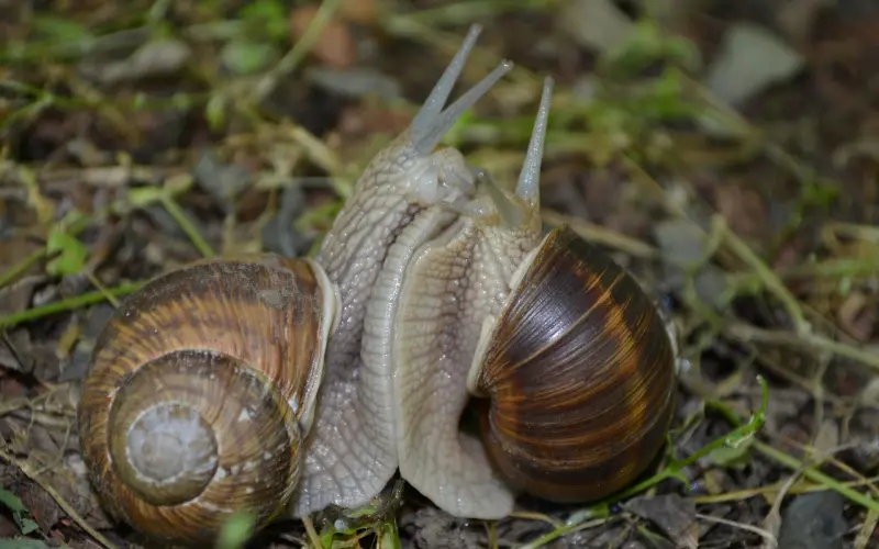 【百合爱情课堂——试探他对你有无意思的招数】