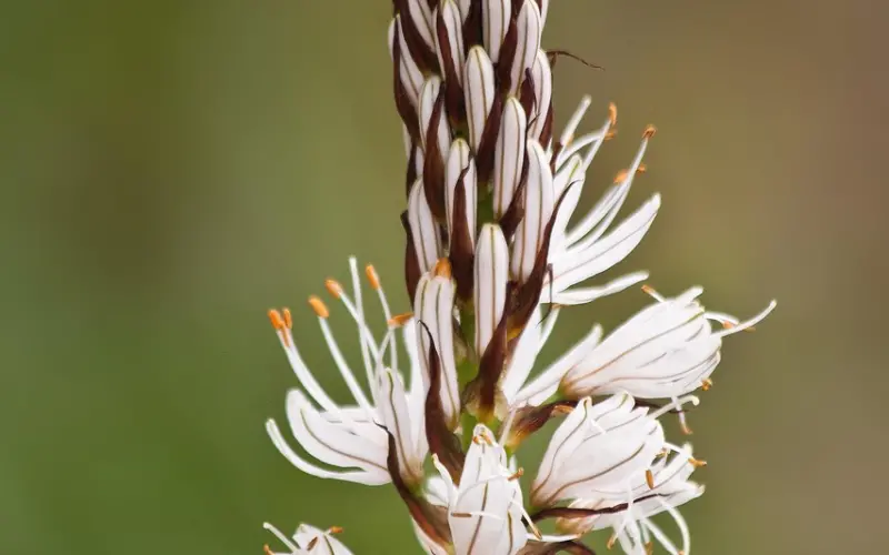 【百合爱情课堂】不让约会冷场的7个好话题