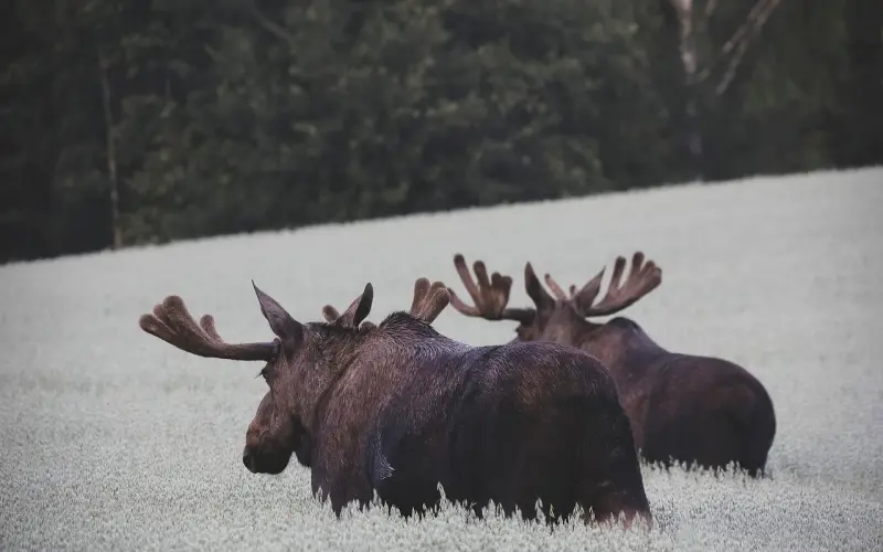 百合爱情大讲堂继续走成都，周小鹏爱情讲座预告啦！爱情困惑你问我答~
