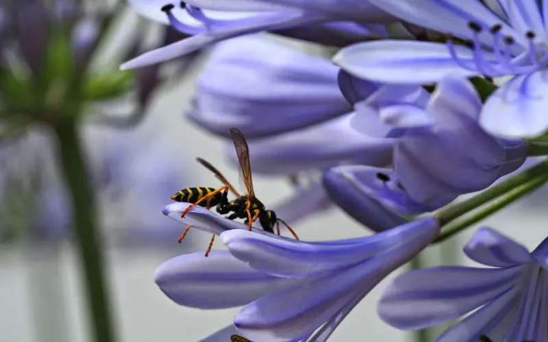 百合爱情大讲堂走成都，圆满落幕~我们与爱情同在！