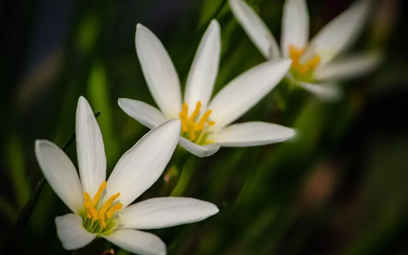 【百合暖文章——爱情的三个瞬间】