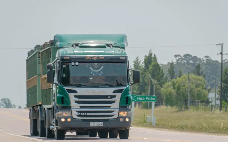 【百合心理小测试】测一测你的痴情指数