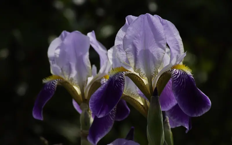 【百合小测试】异性眼中的你存在感有多高？