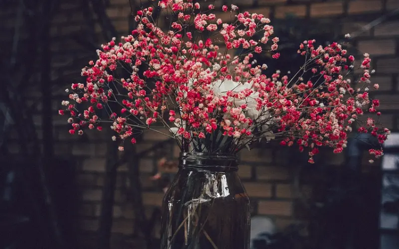 【百合炖鸡汤】我想要个男闺蜜