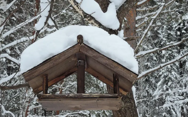 【百合炖鸡汤】给婚姻加点料