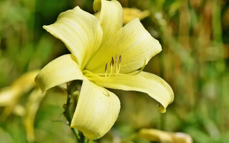 【百合看《非诚》】“交易式”告白引热议  百合网专家解析恋爱真谛