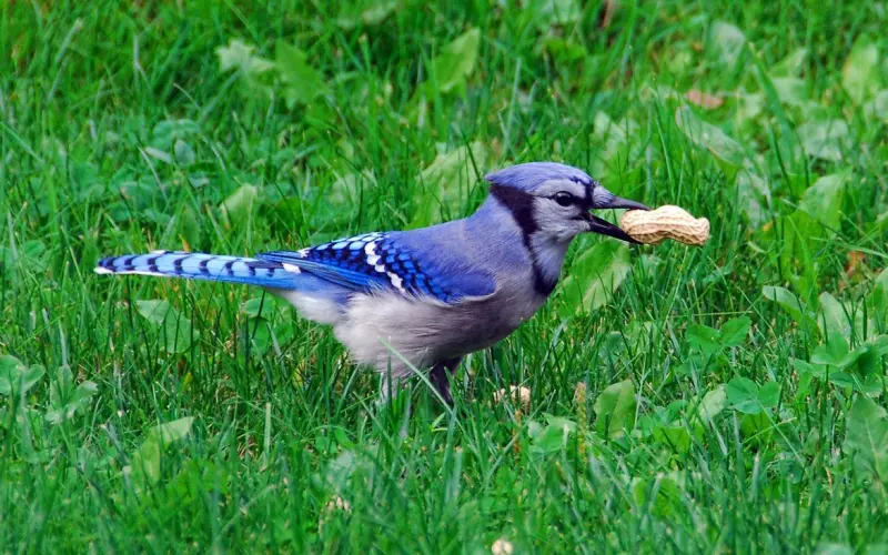 【百合周盘点】新女性：不爱江山爱美男