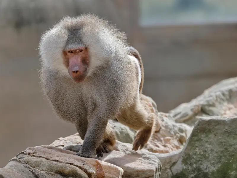 灵兮挽回丨逆转关系挽回成功，这个案例中的这些方法最好学学