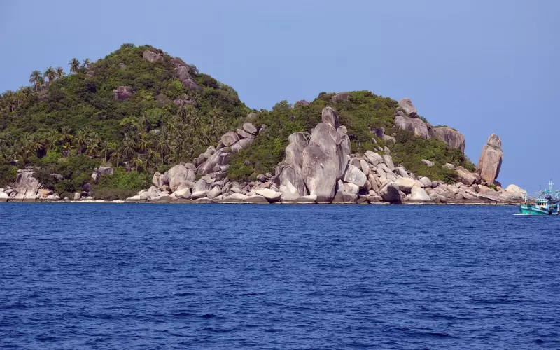 刘涛一首《领悟》唱哭了多少姑娘