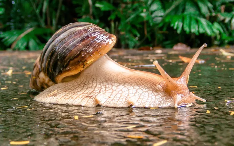 活着，请深爱自己