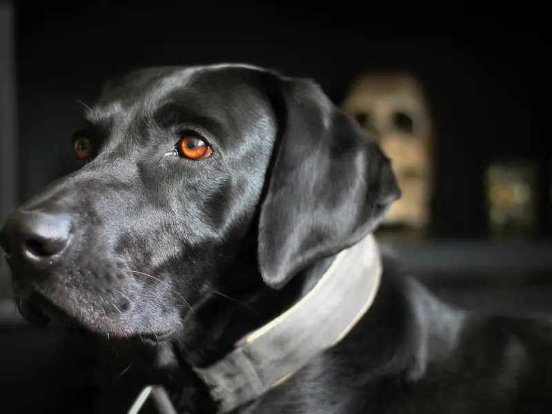 一个人时要好好过