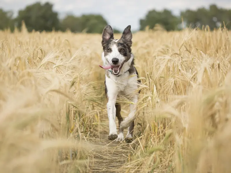 寂寞的灵魂：挽回中你遇到的那些迷茫点
