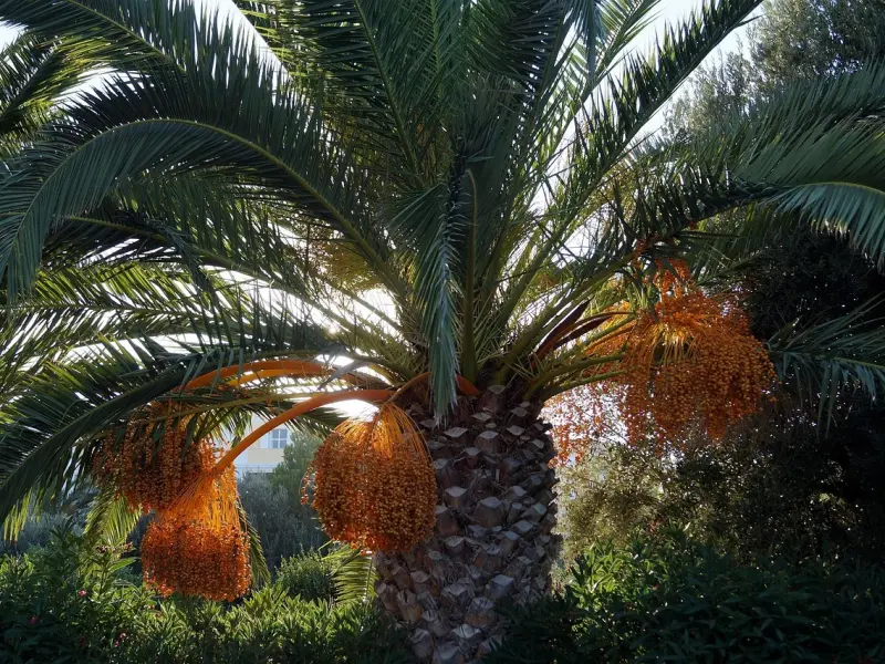 异地、出轨、冷bl？我的前任是个畜生！