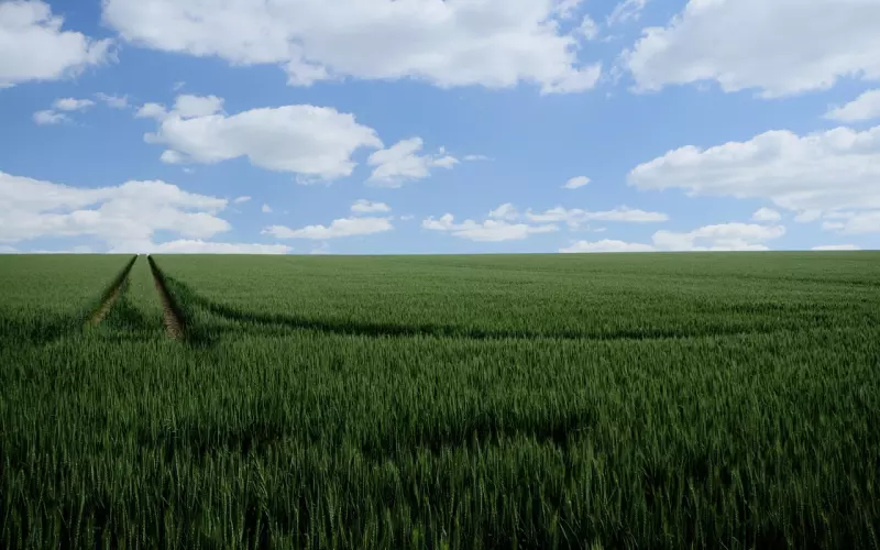 异地恋：谈一场云恋爱