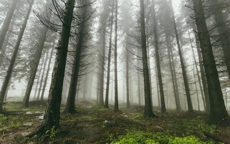 异地恋，总有一句有你的故事