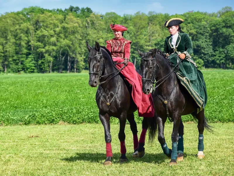 异地恋也能修成正果，关键看你如何经营