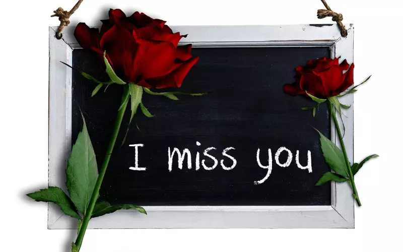 异地恋：我该怎么劝服男友来我的城市？