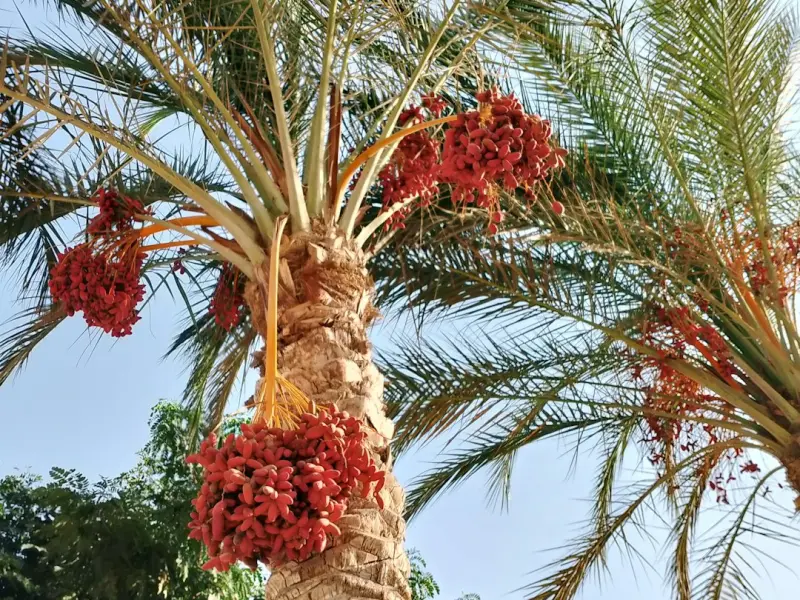 长期关系：细说男友对你越来越冷淡的原因