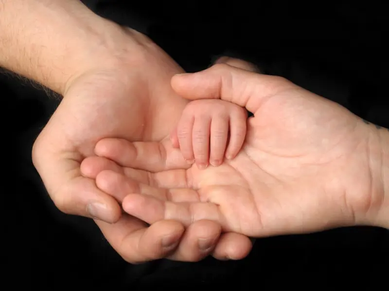 站在这几个公众号的角度看世界，你会发现更多不同！