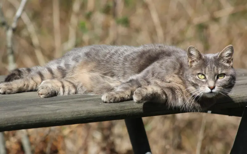 瘦下来，世界就是你的