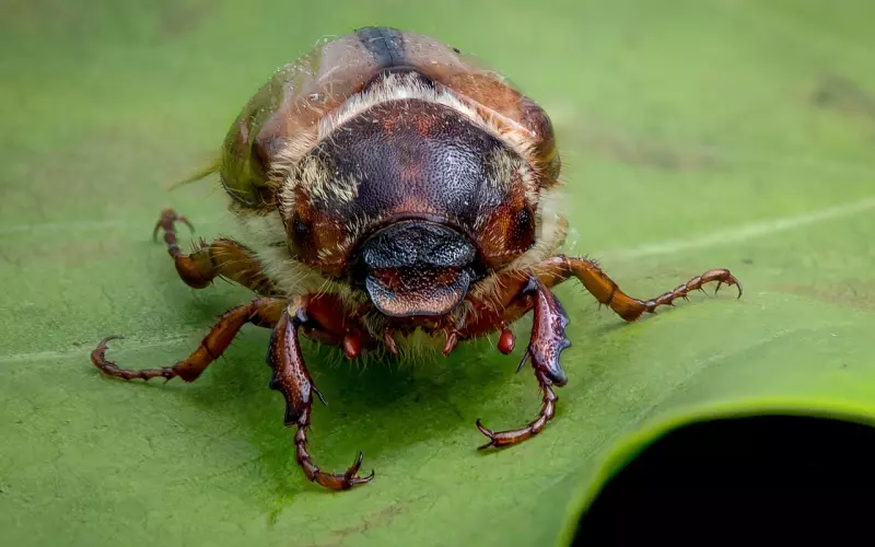 失去这种能力，比嫁错人更可怕