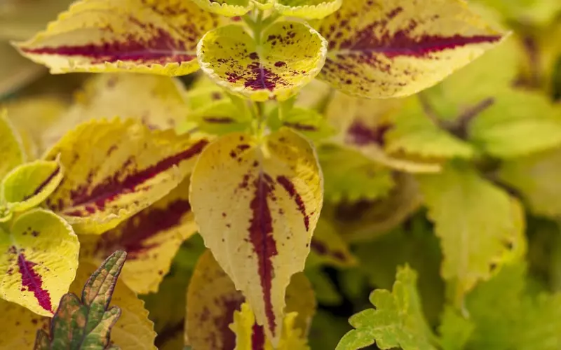 爱情不可能完美，挽回男友必须记住！