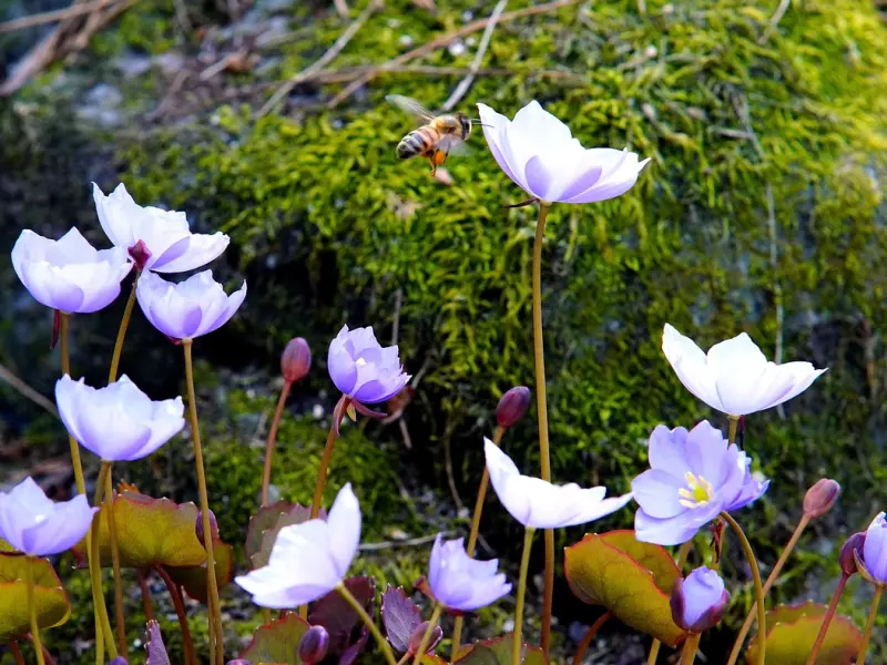 恋爱情商：追求吸引当中说话的艺术