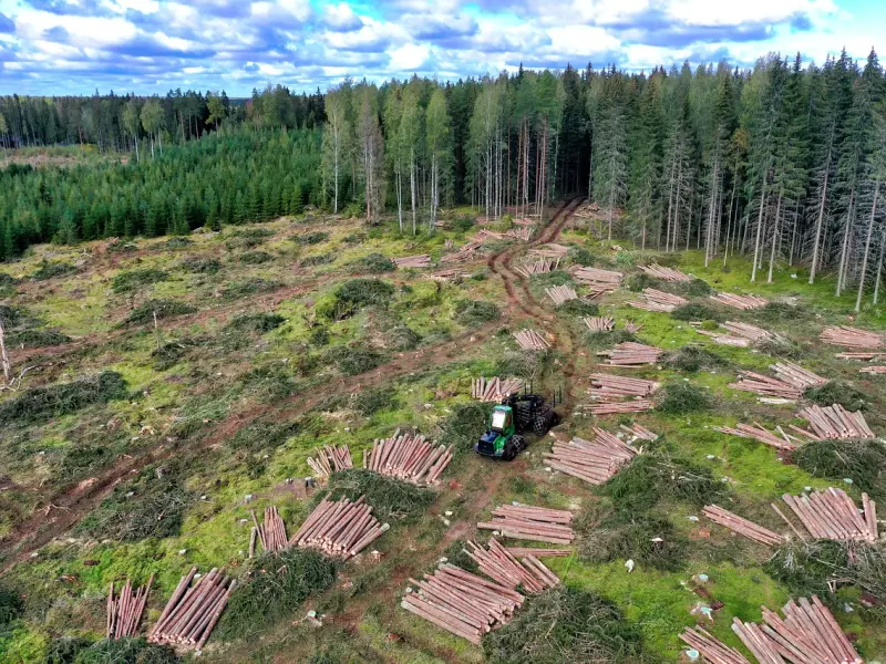 异性之间“日久生情”，女人这些“小动作”一目了然