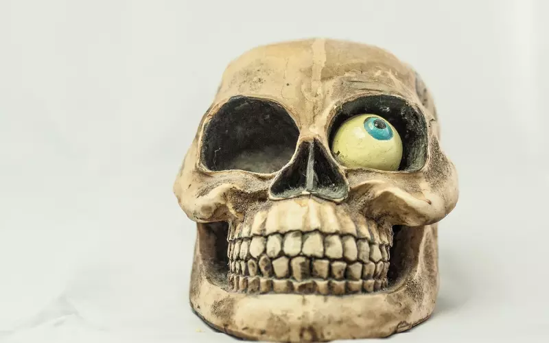 爱情和牙齿一样，难以自拔