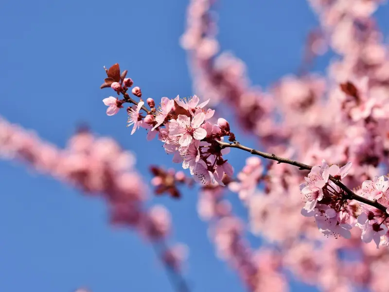 爱情就是爱情，陪伴是会打动人的，但有时是换不来对方真心的