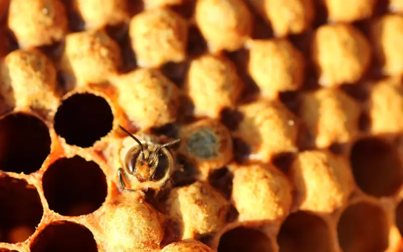 爱情并非总是完美，你要学会平淡生活