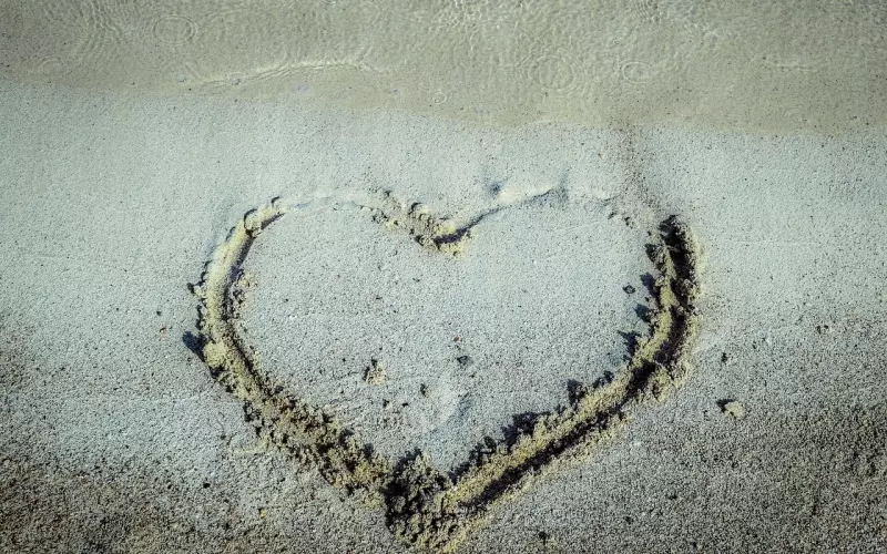 爱不分对错，爱永不褪色