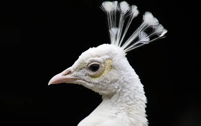 爱情，就是让他陪你去看一次病