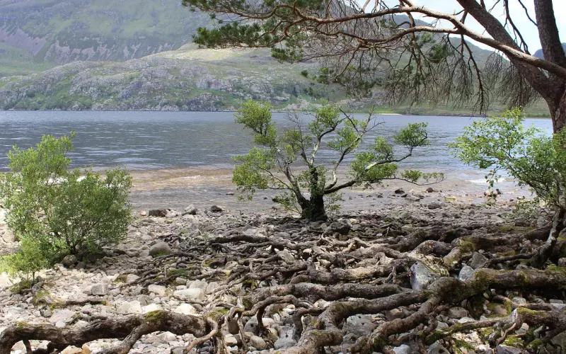 爱，要坚定不移，挽回也是！