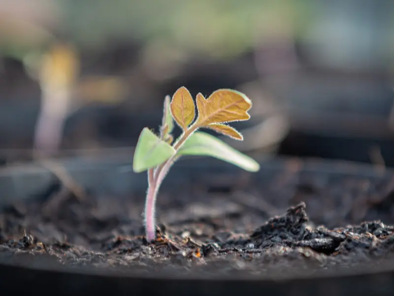 恋爱答疑：男生会更喜欢长得好看的女生吗？