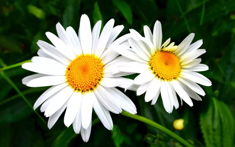 爱情挽回：女友想分手还能挽回吗？想要挽回爱情就要对症下药