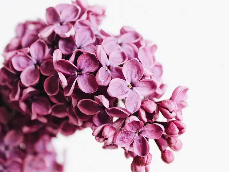 挽回爱情专家告诉你，怎样挽留已经离去的恋人？