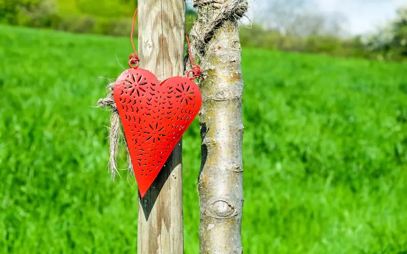 恋爱秘籍：最伤害感情的8句话